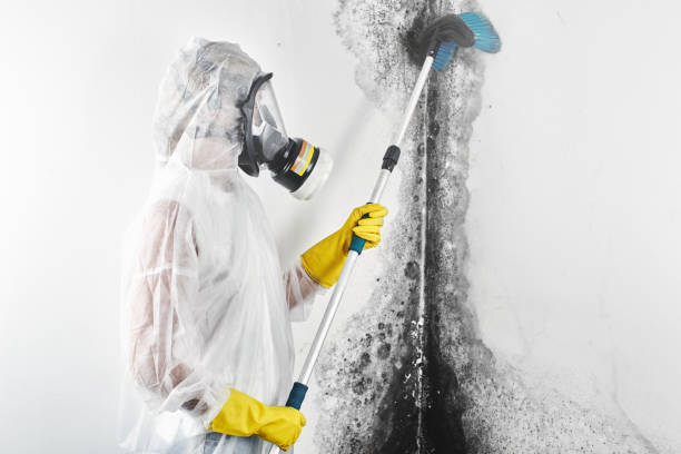 Best Asbestos and Lead Testing During Mold Inspection  in Salem Lakes, WI