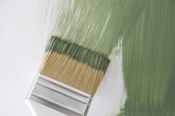 Reliable Salem Lakes, WI Mold Removal Solutions
