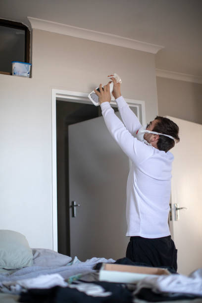 Best Black Mold Removal  in Salem Lakes, WI
