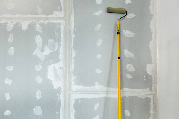 Best Mold Prevention Services  in Salem Lakes, WI
