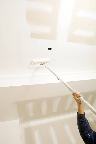 Best Industrial Mold Remediation  in Salem Lakes, WI