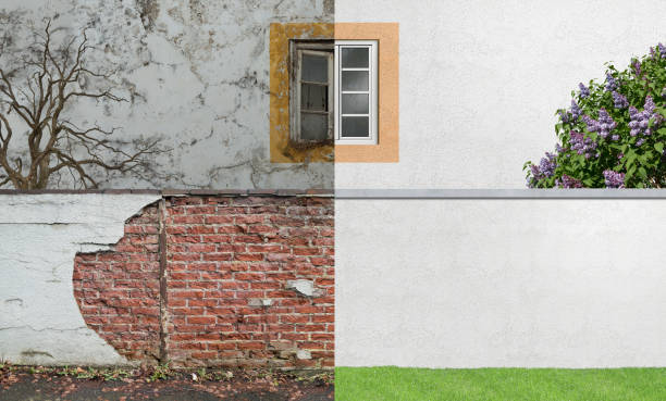Best Emergency Mold Remediation  in Salem Lakes, WI