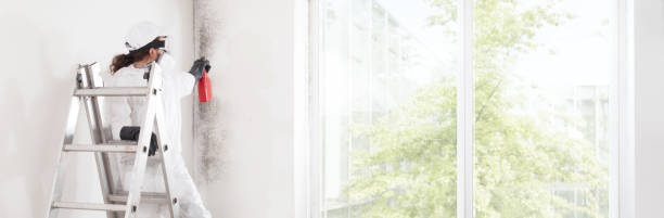 Best Comprehensive Air Testing for Mold Contaminants  in Salem Lakes, WI
