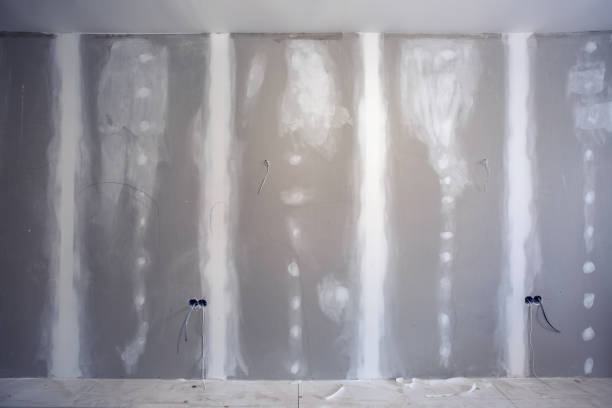Mold Odor Removal Services in Salem Lakes, WI
